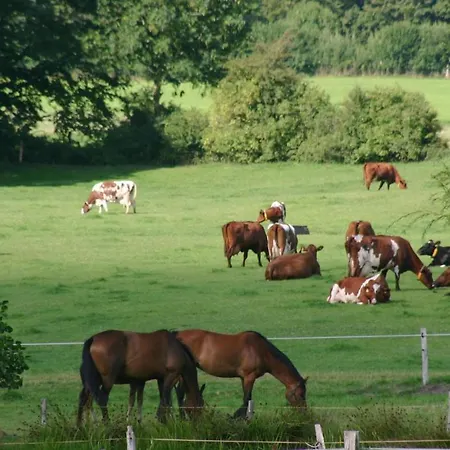 Ferienwohnung Landhaus * Maasbull (Schleswig-Flensburg)