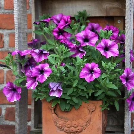 Ferienwohnung Landhaus Appartement