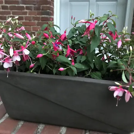 Ferienwohnung Landhaus Appartement