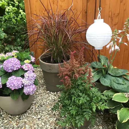 Ferienwohnung Landhaus * Maasbull